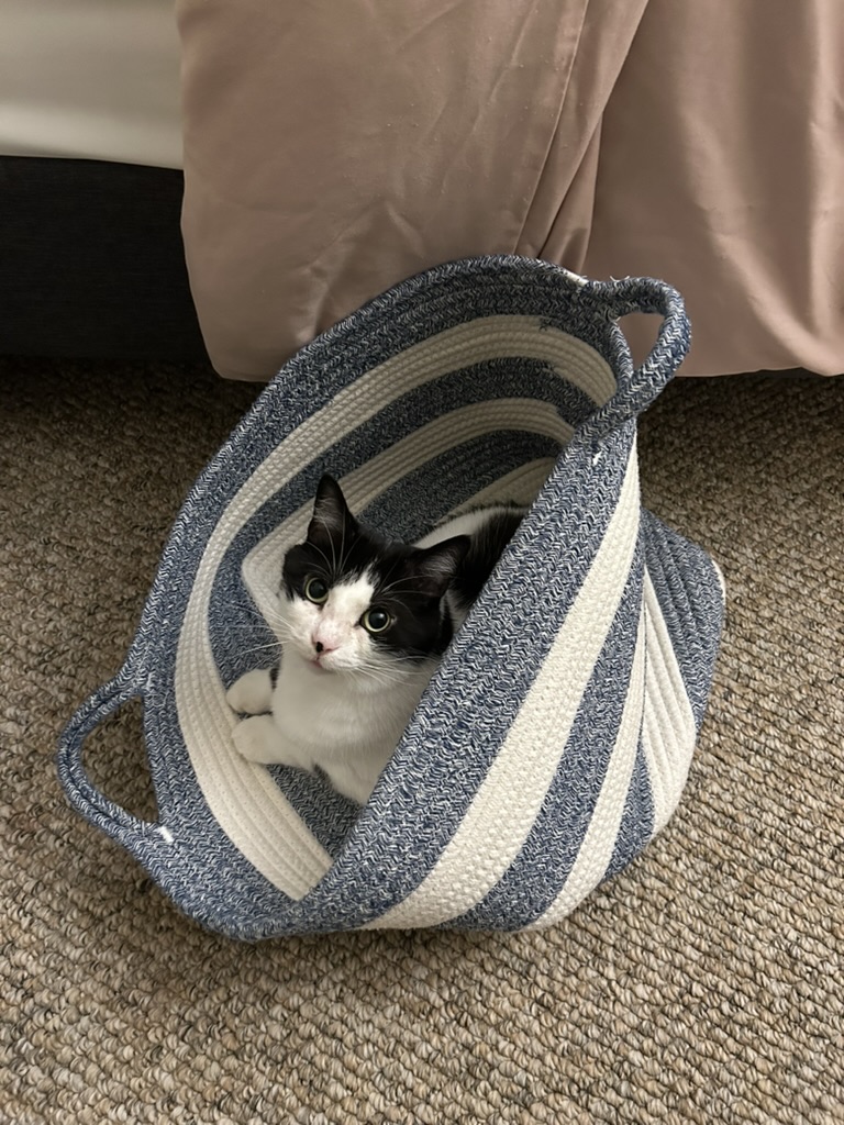 Leftover laundry lint