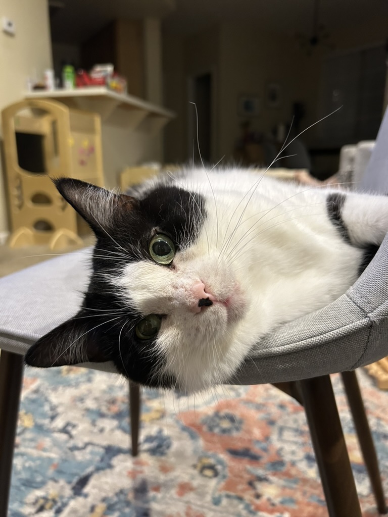 Feed-me stare, but sideways